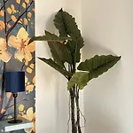 Aner 8 Luxurioeses Haus Im Haus Fuer Bis Zu 6 Personen Mit Infrarotsauna